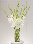 At Peace Bouquet